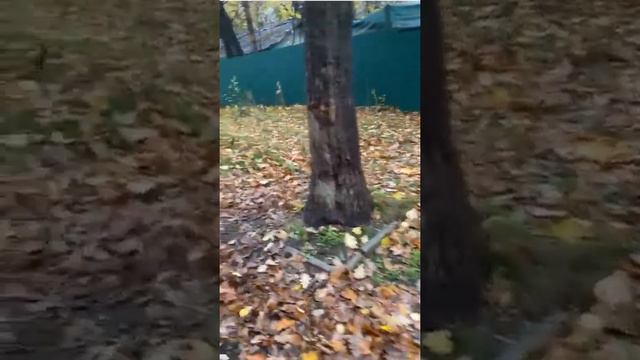 Обнуление после работы. Как мы приходим домой