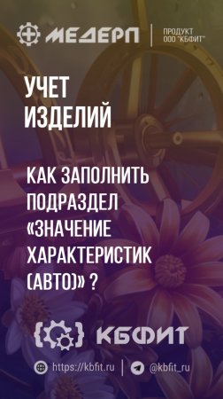 КБФИТ: МЕДЕРП. Учет изделий: Как заполнить раздел «Значение характеристик (Авто)»?