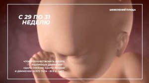 Шевеления Малыша в Животе по Неделям Беременности