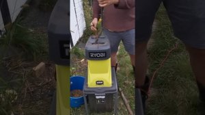 Измельчитель веток Ryobi RSH2545b(1)