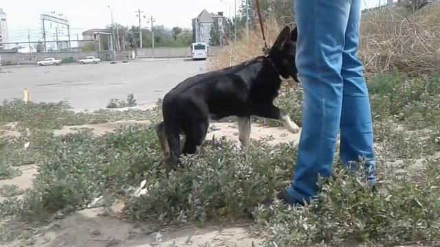 Иртыш смотреть онлайн