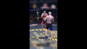 ЕМЕЛЬЯНЕНКО ЕРШОВ выставочный бой