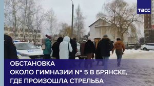 Обстановка около гимназии № 5 в Брянске, где произошла стрельба #shorts