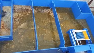 Новинка! Жироуловитель "Автосбор"