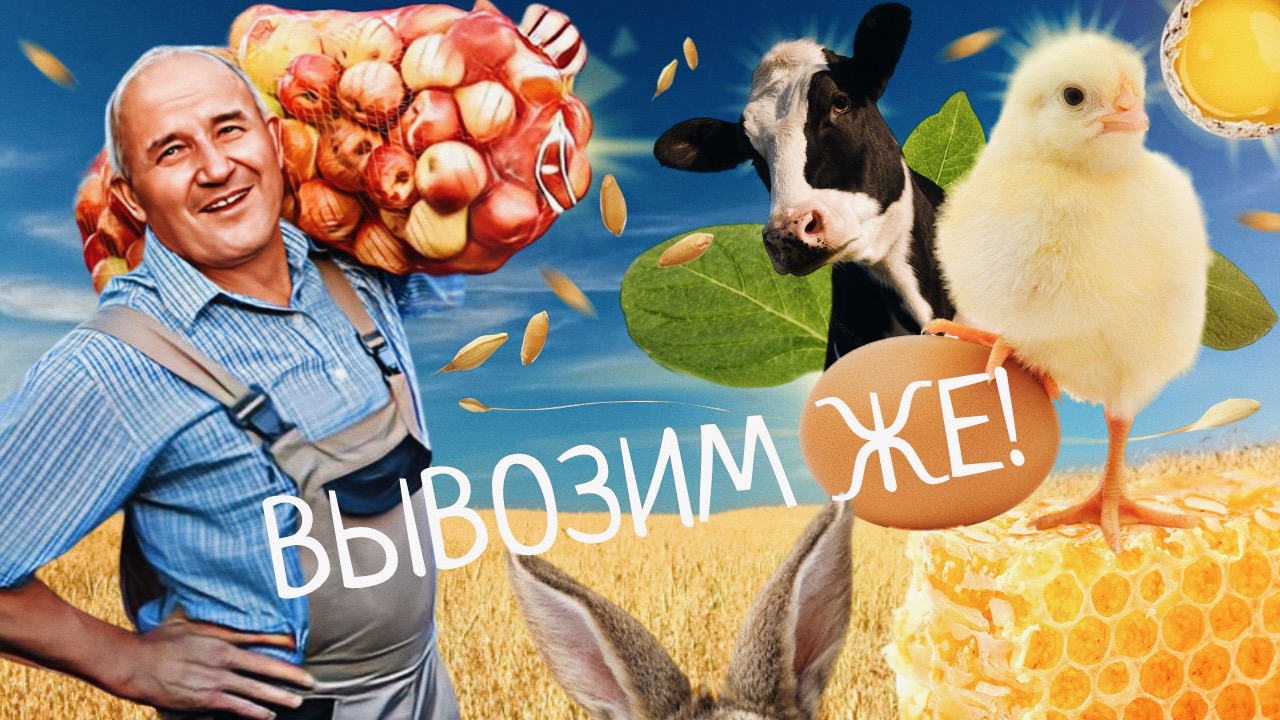 «Вывозим же!» – российские фермеры рассказывают о десятилетии под санкциями