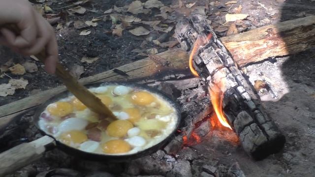 ПВД в начале осени