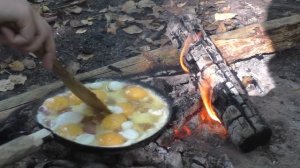 ПВД в начале осени