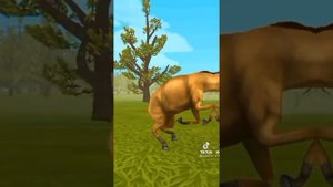 |клип| "Зеркало" WildCraft