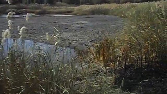 That's what makes the heat - Вот что делает жара смотреть онлайн