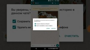 ватсап очистить переписку