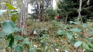 MOSCOMPASS - Мойкомпас - Москомпас