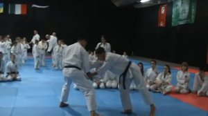 Семінар з Мотоха Йошин рю Дзю Дзюцу. О. Мацканюк (Motoha Yoshin ryu Jiu Jitsu seminar)(4)