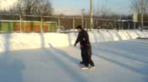 Семья коньки