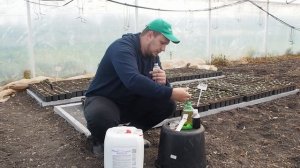 №3 Обработка биопрепаратами. Защита от вредителей без химии