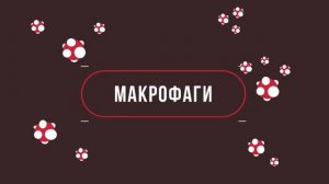 ЧТО БУДЕТ С ТЕЛОМ ПОСЛЕ СМЕРТИ?