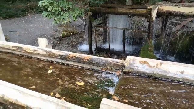 Белогорье . Воронежская область. Старая мельница. 2020 смотреть онлайн