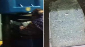 Проект Океанариум