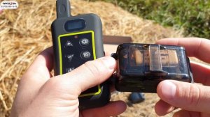 Лучший дрессировочный ошейник за свои деньги - Trainertec PTS 1200