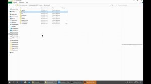 Как поменять язык в Borderlands 2 (Звук , текст)  от GamesVoice EGS Эпик Геймс  рабочий мультиплеер