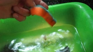 Черепаха укусила за палец жесть слабонервных и впечатлительным не смотреть до конца мясо