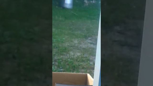 Подкинули котёнка смотреть онлайн