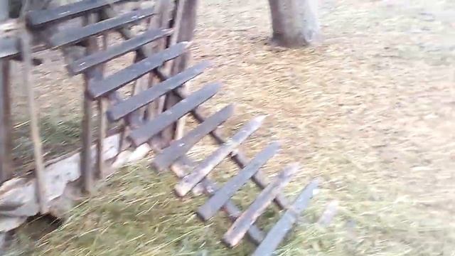 Как сидят мои гусыни на яйцах. смотреть онлайн