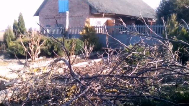 Меняем дизайн.Убираем "взрослый" орех смотреть онлайн