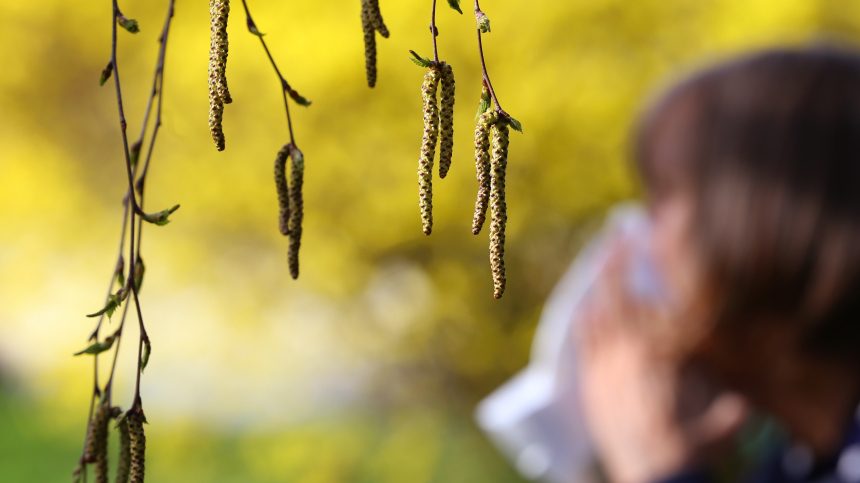 Опасная весна: россиян предупредили о «пыльцевых бурях»