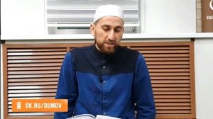 Какой перевод Корана читать?