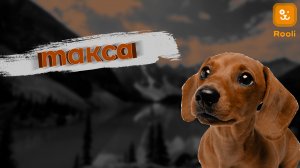 Такса: идеальный партнер и преданный друг