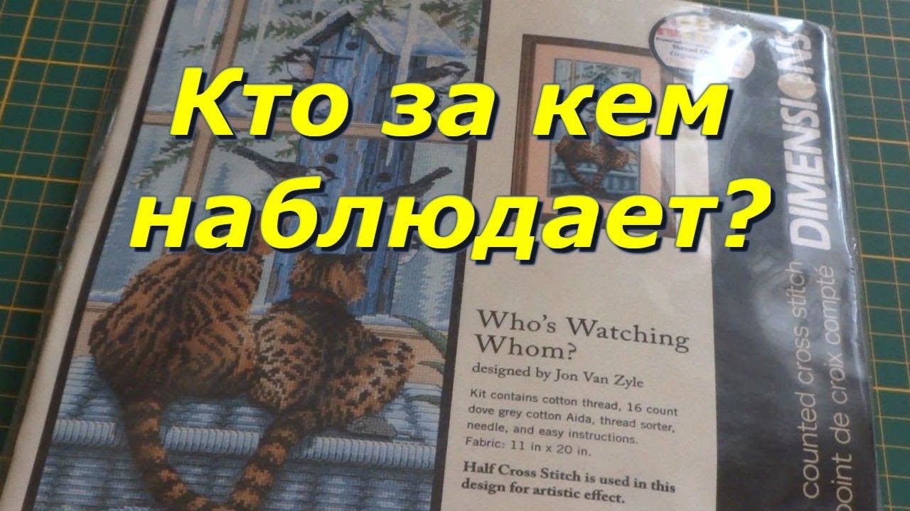 Вышивка крестом/ "Кто за кем наблюдает" набор от фирмы  Dimensions