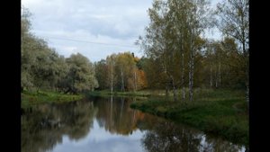 Сибирские грибы - Растревожила осень