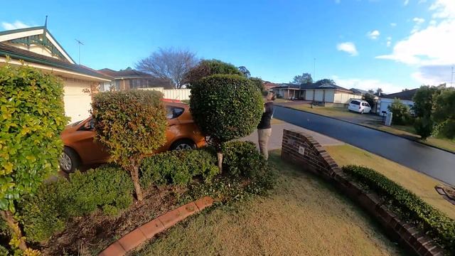 Re Shaping Hedges! First cuts! Makita Battery Equipment! 20X SPEED! смотреть онлайн