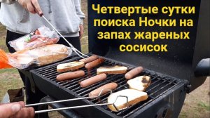 Четвертые сутки поиска Ночки - на запах