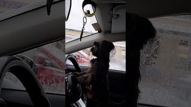 Рулевой смотреть онлайн