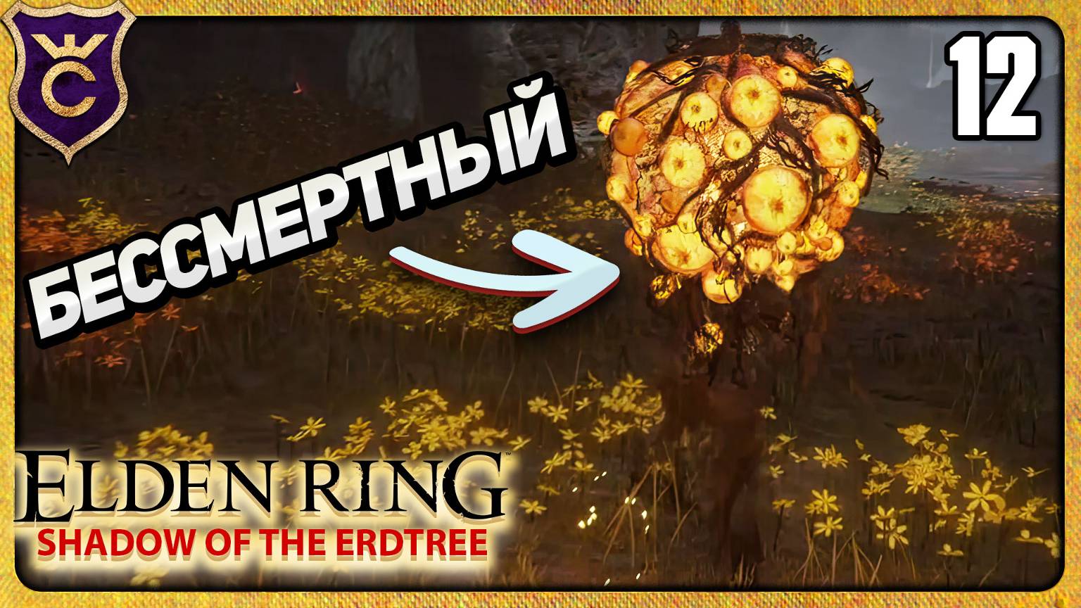 В ЭТОЙ ИГРЕ ПОЯВИЛСЯ СТЭЛС 12 ELDEN RING Shadow of the Erdtree