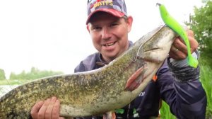 Большая приманка - Большая рыба  | Спиннинг с берега | Денис Вихров