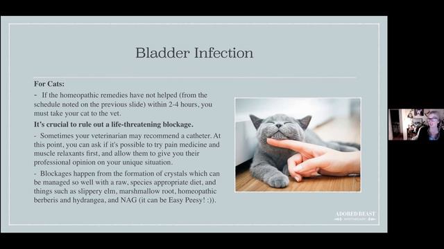 Are You Vet Ready Webinar: Part Two presented by Julie Anne Lee DCH смотреть онлайн