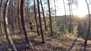 В ЛЕС НА ЭЛЕКТРИЧЕСКОМ ПИТБАЙКЕ
