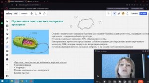 Генетический материал прокариот