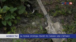 За полив огорода землевладельцы платят по тарифу или счетчику