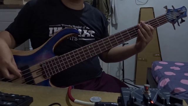 LANDMVRKS - Visage bass cover смотреть онлайн