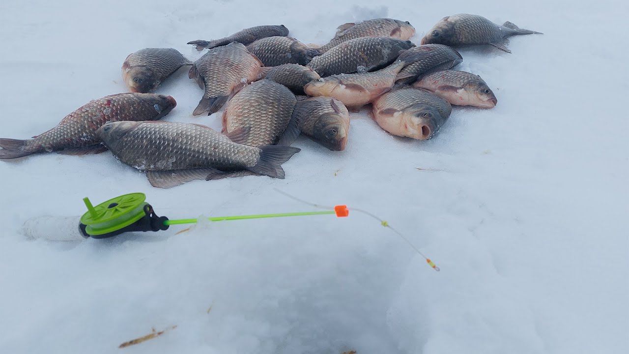 ТАК КАРАСЯ Я ЕЩЕ НЕ ДОСТАВАЛ. ТРУДОВАЯ ВЕСЕННЯЯ РЫБАЛКА НА КАРАСЯ И СУДАКА. смотреть онлайн