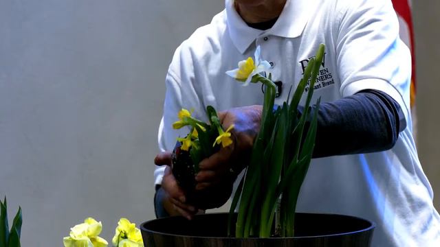 Hopkinton Women's Club Speaker Series: Angels Garden Center смотреть онлайн