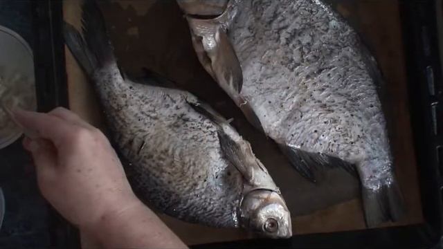 Рецепт: Речная рыба, запеченная в духовке