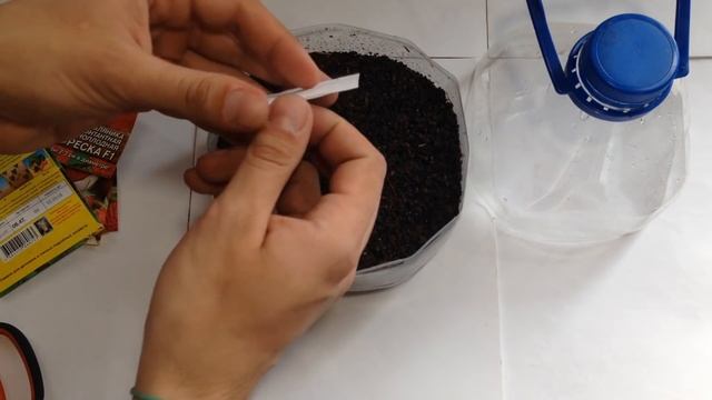 Выращивание рассады земляники из семян / Основные правила выращивания/ Самый лучший способ смотреть онлайн