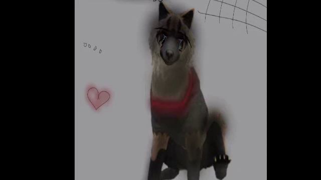 Волк-Одиночество смотреть онлайн