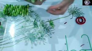 How to arrange LUCKY BAMBOO PLANT #lipshaworld