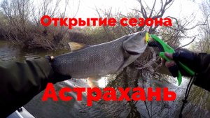 Селитренное - Маково 2021 ч1. Жерех, сазан и судак