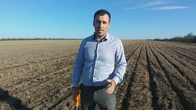 Сев подсолнечника с ЖКУ
